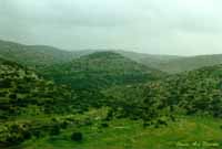 Vadi Kana. Foto A.Entova